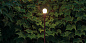 Боллард Firefly 2 W Landa Illuminotecnica — фото 7