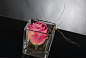 CUBO ROSA TOUCH Искусственное растение VGnewtrend — фото 2