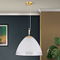 HL 6-1437/1 gold-matt/461 klar-matt Opaldesign Orion подвесной матовый полусферический светильник — фото 2