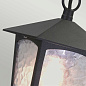 Уличный подвесной светильник York Elstead BL6B-BLACK черный — фото 3