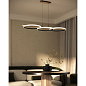 A3913SP-24BK Arte Lamp Fluido подвесная люстра LED 1х24W 1900Lm 2700-6000K — фото 1
