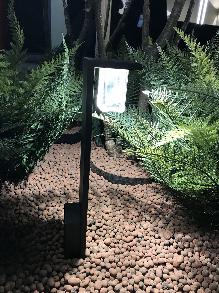 Maxima studio на празднике DELTA LIGHT — фото 31