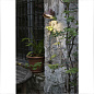 71194 BRONX Brown wall lamp настенный светильник Faro barcelona