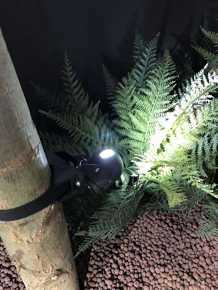 Maxima studio на празднике DELTA LIGHT — фото 33
