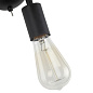 Бра Arte Lamp ROOTS A9190AP-1BK — фото 2