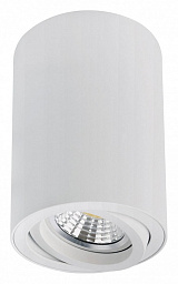 A1566PL-1WH Arte Lamp Sentry накладной светильник цилиндрической формы белого цвета