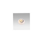 02101301 Faro FOX LED White orientable recessed lamp 5W 2700K встраиваемый светильник