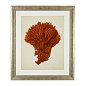 Набор принтов Antique Red Corals (6 шт.) Eichholtz 111741 — фото 1