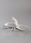 Фарфоровая статуэтка жука-геркулеса Hercules Beetle Lladro, белая матовая 01009479 — фото 3