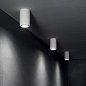 Потолочный светильник Look PL1 ROUND D70 H750 GESSO Ideal Lux 355757 — фото 1