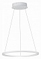 ST604.543.22 ST-Luce St604 out подвесной светильник, 22Вт, 4000K, 1430лм, белый — фото 1