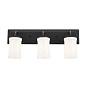 Vetivene 3 Light Vanity Light Textured Black настенный светильник 55131BKT Kichler — фото 7