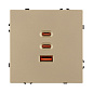 061836 Arlight Механизм розетки с быстрой USB зарядкой SCT-NOBE-MUACC-SFPL-FC-GD (65 Вт, QC3) — фото 3