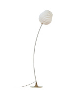 Light oak / Standard