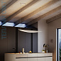 05002NRDHUXBB Elesi luce Alba SP L LED офисная люстра чёрный — фото 1