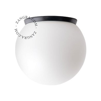 Настенно-потолочный светильник Zangra Verre Soufflé IP65