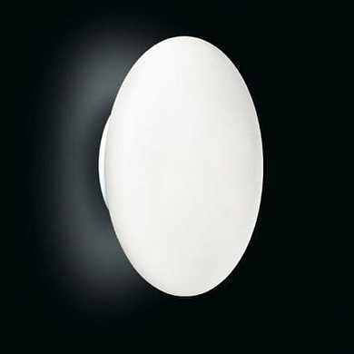 настенно-потолочный светильник с овальным матовым рассеивателем