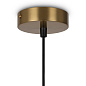 Ring подвесной светильник, Maytoni MOD013PL-02BS1