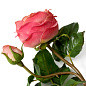 Искусственное растение Roses Eichholtz 119280 — фото 5