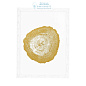 110875 Prints EC257 Gold Foil: Tree Rings set of 4 Eichholtz