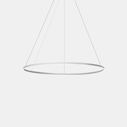 CS5B-00A9AZOU14 Leds C4 Circular Подвесной светильник