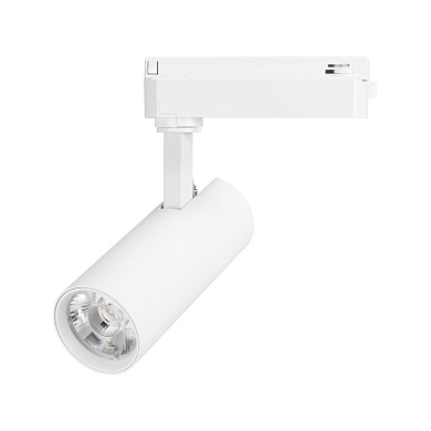 Трековый светильник Arlight GERA 2TRA R55 10 Вт
