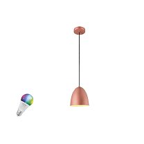 SLV PARA CONE 20 SMART SET