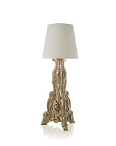 Lacquered IN