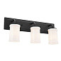 Vetivene 3 Light Vanity Light Textured Black настенный светильник 55131BKT Kichler — фото 6