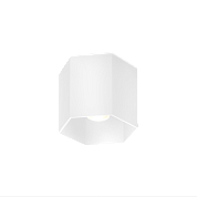 HEXO CEILING 1.0 LED AMBIENT DIM W Wever Ducre