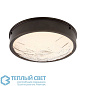 Pietro Flush Mount Arteriors DJ49005 — фото 3