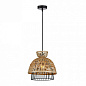 A7070SP-1BK Arte Lamp Woodstock подвесной светильник 40W — фото 1