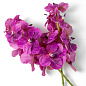 Искусственное растение Vanda Orchids Eichholtz 119285 — фото 2