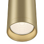 Потолочный светильник Focus Maytoni матовое золото C010CL-01MG