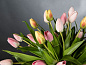 ETERNITY MIX ALFEO Искусственное растение VGnewtrend — фото 1