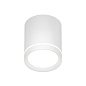 Накладной точечный светильник Denkirs Ribe DK4013-WH — фото 4
