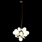 10008/6 white Loft it Matisse подвесной светильник, 5Вт, белый;золото — фото 2