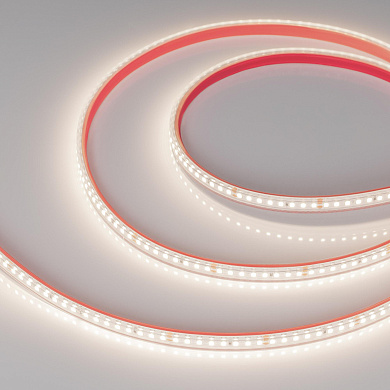 024543(2) Arlight Лента герметичная RTW-PS-A160-10mm 24V Day4000 (12 W/m, IP67, 2835, 5m)