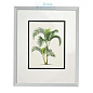 108852 Print Palms S/4 Eichholtz