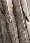 Настенный светильник Leaf Large Porta Romana TWL91L — фото 3