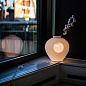 FN301001R1_10 Foscarini Madre TL LED настольный светильник дизайнерский белый — фото 1