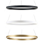HL 6-1721/60/80 - 290/2 Pendant light KOLK, horizontal, Ø 60/80 см Orion — фото 1