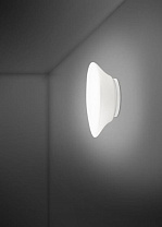 настенно-потолочный светильник с матовым стеклом