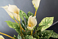 ETERNITY ALFEO CALLA TRIS среднее цветочное украшение, VGnewtrend — фото 4