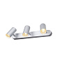 1002978 SLV NOBLO III Indoor LED surface-mounted ceiling light 2700 K silver трехламповый потолочный спот — фото 2