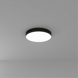 A6650PL-1BK Arte Lamp Fado потолочный светильник с матовым корпусом