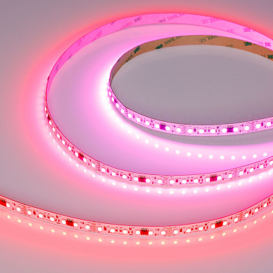 Светодиодная лента Arlight SPI-A120-10mm-PX6-BPT 24 В IP20 2835 5 м 10 мм SPI