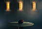 Настенный светильник Giacometti Small Porta Romana TWL142 — фото 5
