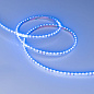 037153 Arlight Лента RS-S120-8mm 24V Blue (9.6 W/m, IP20, 3014, 5m) — фото 2