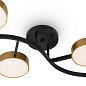 Потолочный светильник Tibo Freya FR6048CL-L10GB — фото 15
